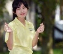 服务页头部轻便